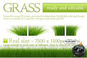 茂盛绿色草地茂密小草元素PNG免抠透明底装饰元素图片PS设计素材-设计猿