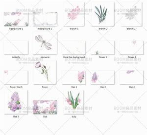 紫色薰衣草优雅唯美彩色手绘植物生日贺卡免扣PNG设计元素PS素材-设计猿