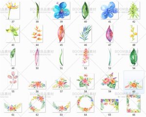 手绘水彩花朵热带蕨类植物花束花环绿叶贺卡海报免抠PNG设计素材-设计猿