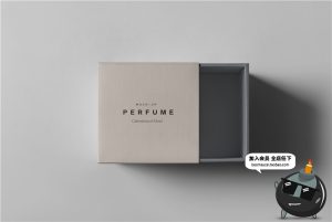 奢侈品珠宝首饰品牌包装纸盒子VI提案智能贴图样机PSD模板PS素材-设计猿