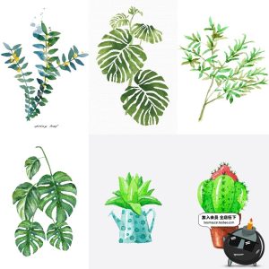 简约水彩手绘小清新绿色植物仙人掌插画高清装饰画芯JPG图片素材-设计猿