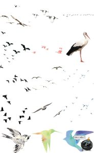 鸟群剪影鸟类飞鸟仙鹤透明背景图案ps后期美化免扣PNG免抠素材-设计猿