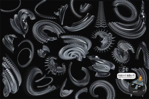 未来3D科幻抽象立体潮流潮品牌环绕艺术金属镀铬PNG免抠图片素材-设计猿