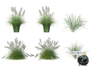 单棵草类杂草野草植物园林景观元素后期合成PSD分层源文件PS素材-设计猿