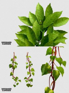 3D绿色植物叶片藤蔓装饰图片元素海报PNG免抠合成PS设计高清素材-设计猿