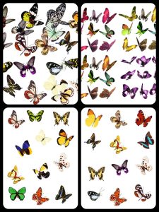 平面蝴蝶飞舞PS分层PSD素材后期设计外景婚纱照影楼静态效果-设计猿