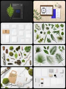 花卉绿色植物主题叶子多肉木棍摆件场景装饰元素PSD源文件PS素材-设计猿