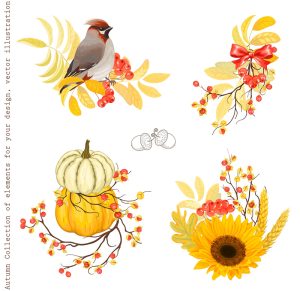 秋天丰收季节金黄色小鸟南瓜花朵果实AI矢量卡通插画风格设计素材-设计猿