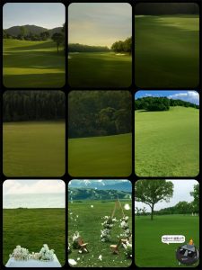 真实高清草坪草地草丛外景婚礼婚纱修图后期背景合成JPG图片素材-设计猿