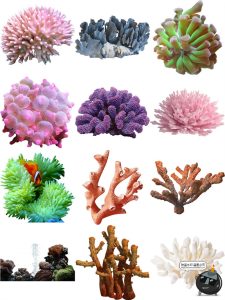 高清海底海洋珊瑚水草石头手账后期合成元素装饰图案PNG免抠素材-设计猿