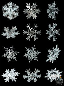 高清3D立体结冰雪花冰晶细节图冬天圣诞节装饰后期PNG免抠图素材-设计猿