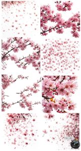 樱花飘落花瓣樱花树梅花树场景后期合成修图美工PNG免抠装饰素材-设计猿