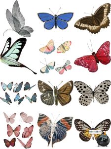 复古彩色蝴蝶翅膀飞舞装饰手账透明背景美工后期合成PNG免抠素材-设计猿