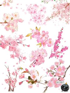 梅花树园林景观樱花飘落花瓣场景街景道路平面装饰PNG免抠PSD素材-设计猿