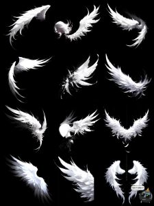 卡通纯白精灵天使羽毛羽翼翅膀双翅特效照片后期合成PNG免抠素材-设计猿