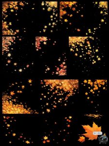 秋季飞舞枫叶动漫卡通光影漂浮氛围cos特效PNG免抠后期合成素材-设计猿