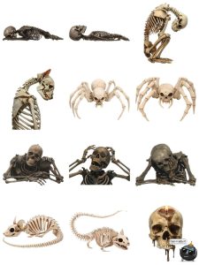 暗黑生物异形外星人物骸骨躯干骷髅标本装饰元素PNG免抠素材图片-设计猿