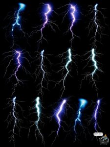 水彩立面树木松树笔刷剪影元素装饰插画图片设计ABR笔触设计素材-设计猿