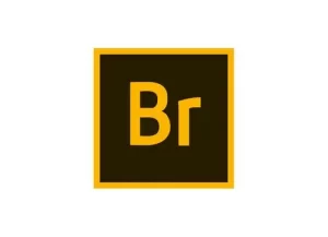 Adobe Bridge组织工具程序!-设计猿