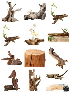 电商产品展台枯木木头木桩展示台海报装饰平面美工免抠PNG素材-设计猿