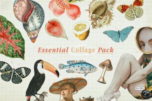 复古奇特奇异剪纸风海洋生物人物蝴蝶水果雕像手账PNG免抠图素材-设计猿