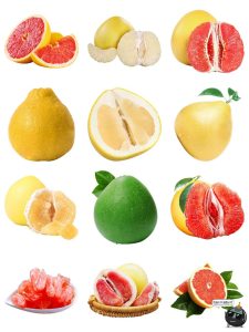 柚子葡萄柚素材 水果广告食材元素果汁果肉海报PNG免抠装饰图片-设计猿