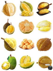 榴莲素材 菠萝蜜果肉水果平面海报广告装饰生鲜元素免抠PNG图片-设计猿
