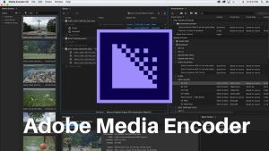 Adobe Media Encoder视频和音频编码应用程序！-设计猿
