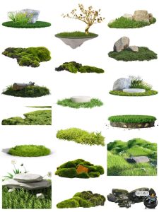 青草青苔石头产品展台海报电商主图宣传底座PNG透明底免抠素材图-设计猿